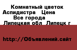 Комнатный цветок Аспидистра › Цена ­ 150 - Все города  »    . Липецкая обл.,Липецк г.